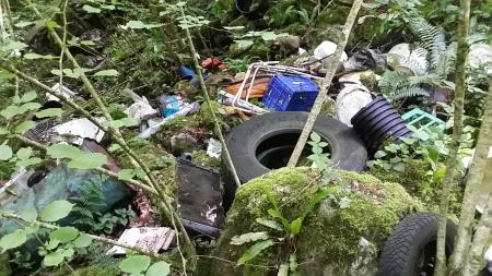 Sanacija črnega odlagališča – Banova jama 113